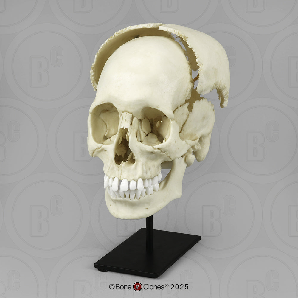 BC-300-A front side view