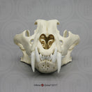 Switch Bone Clones Wild Cat Skulls 2 image