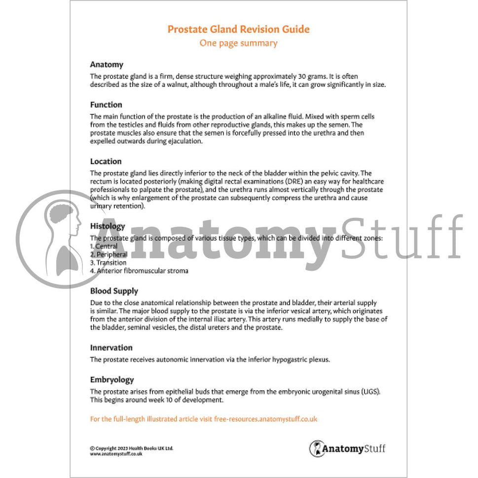 Prostate Gland Revision Guide (One Page Summary)