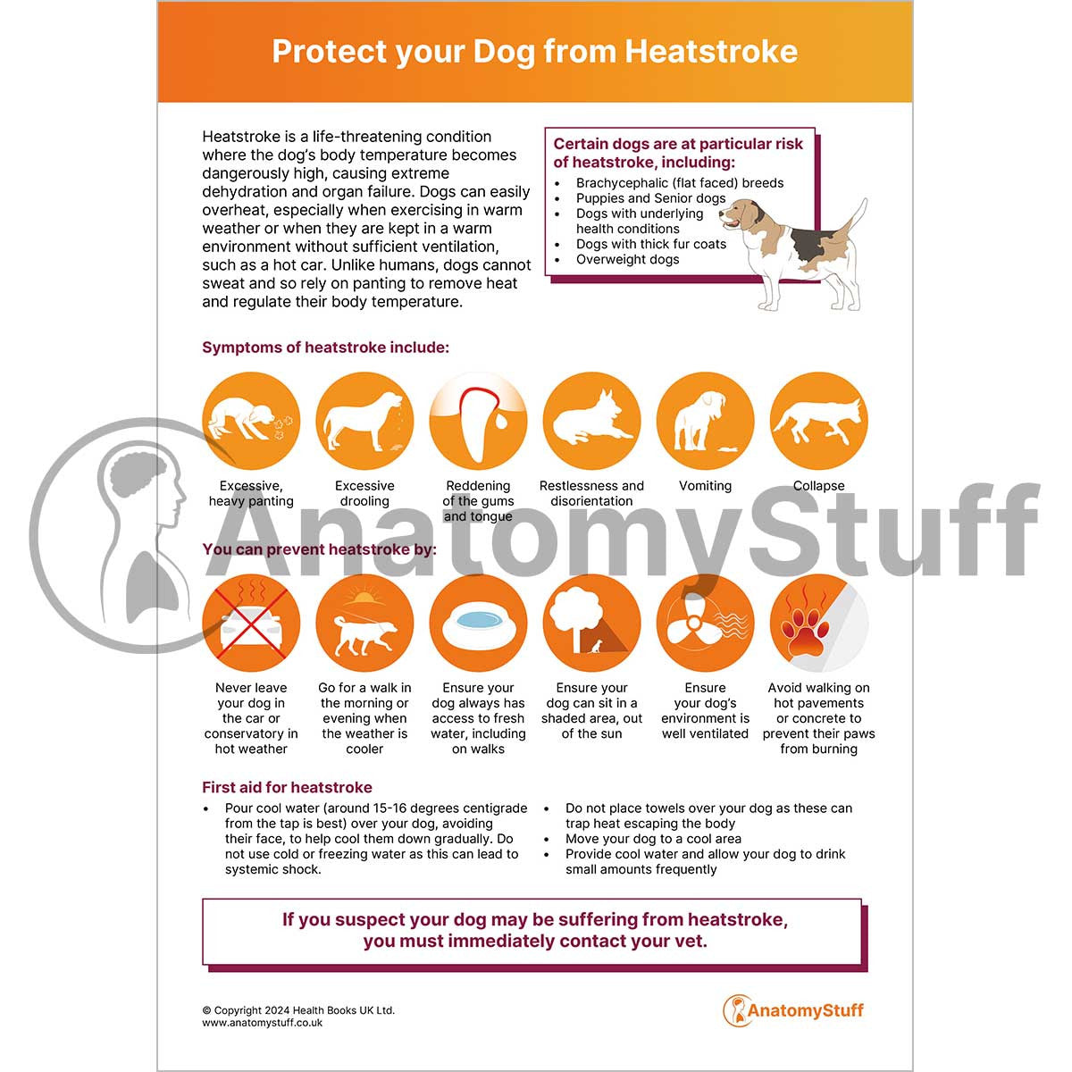 Protect your Dog from Heat Stroke (Printable PDF)