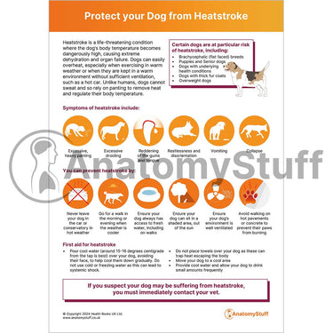 Pet Health & Animal Care Downloads