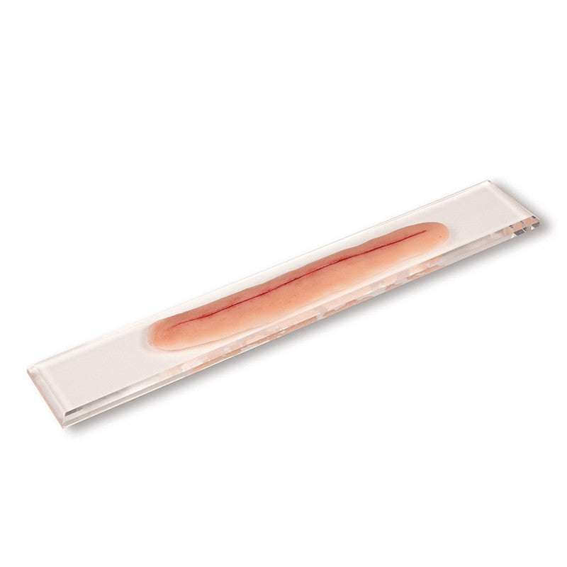 Surgical Wound for Suturing