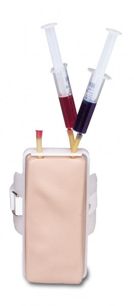Model is filled with artificial blood for realistic practice of venepuncture