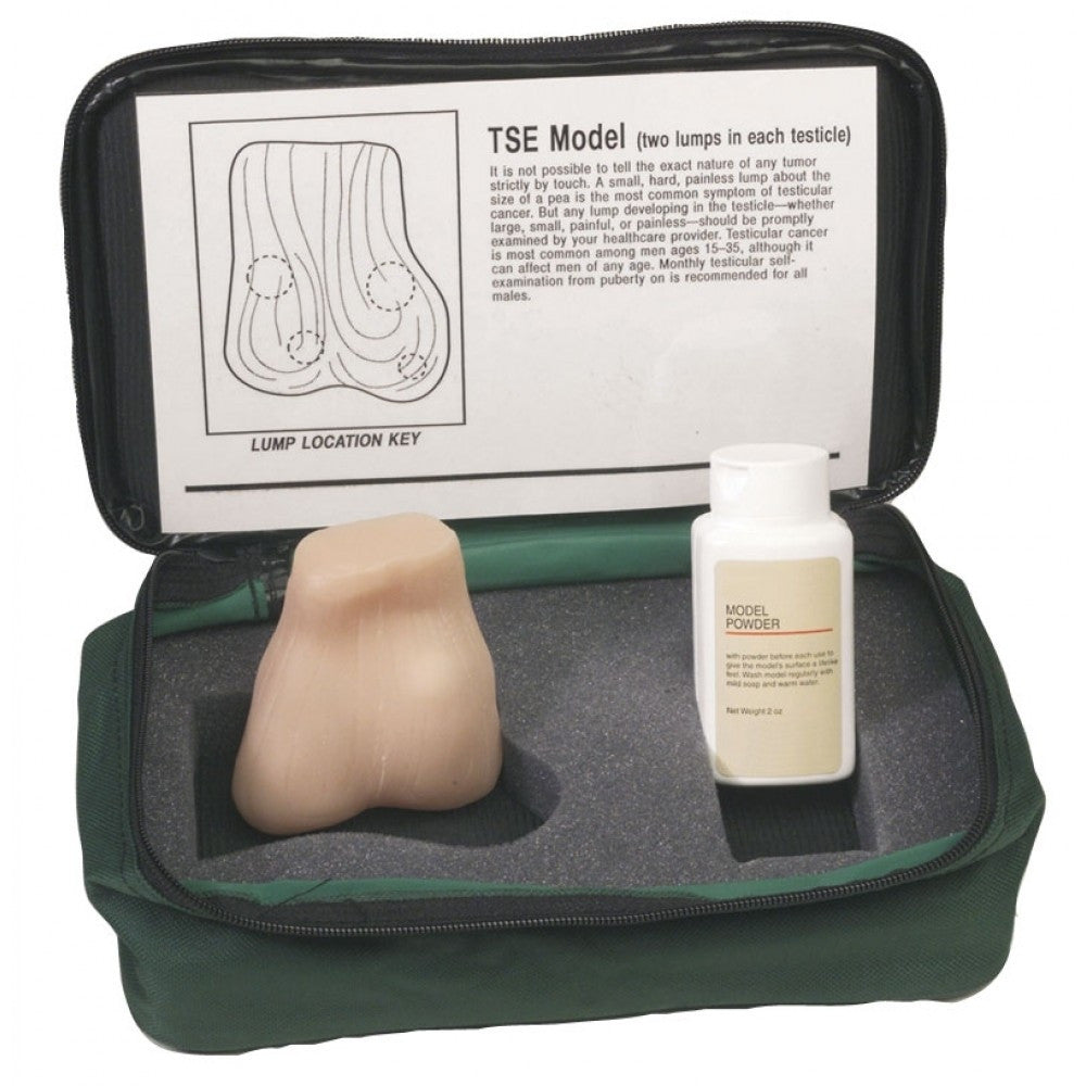 Testicular Cancer Education Collection