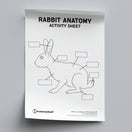 Switch Rabbit Anatomy Activity Sheet PDF 2 image