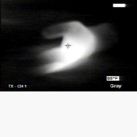 Rescue Randy Thermal Imaging Trainer | Rescue Randy Training Manikin ...