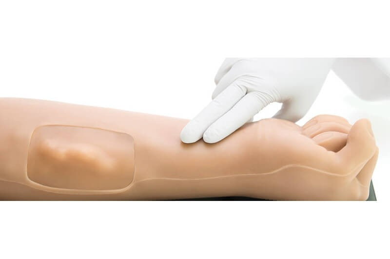 Arterial and Venous Patient Right Training Arm