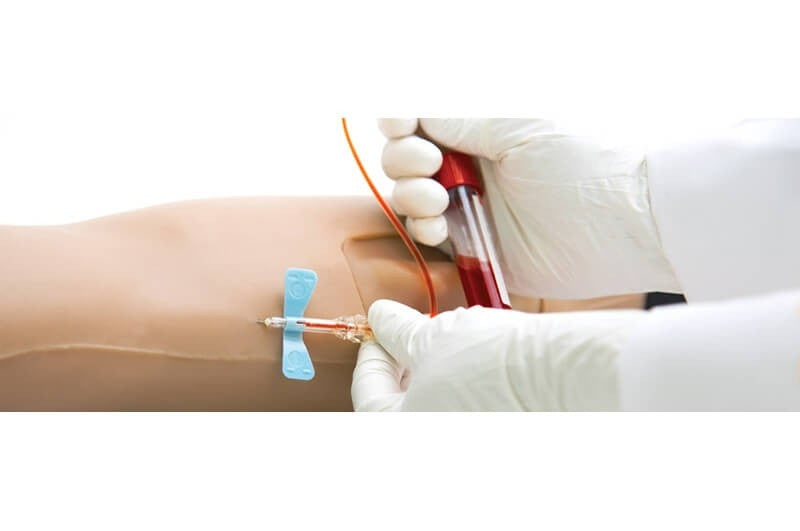 Arterial and Venous Patient Right Training Arm