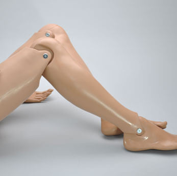 Moveable Joints of the Manikin at the Knees