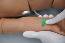 Switch Injection Training Arm with Venous/Arterial Sites 3 image