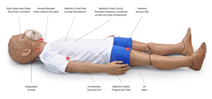 Five-Year-Old CPR and Trauma Care Simulator