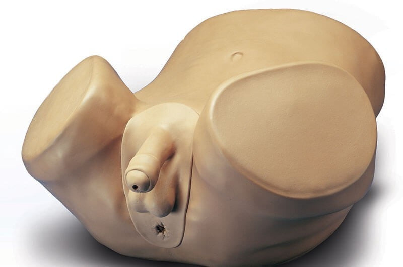 Advanced Patient Care Male Prostate Skills Trainer