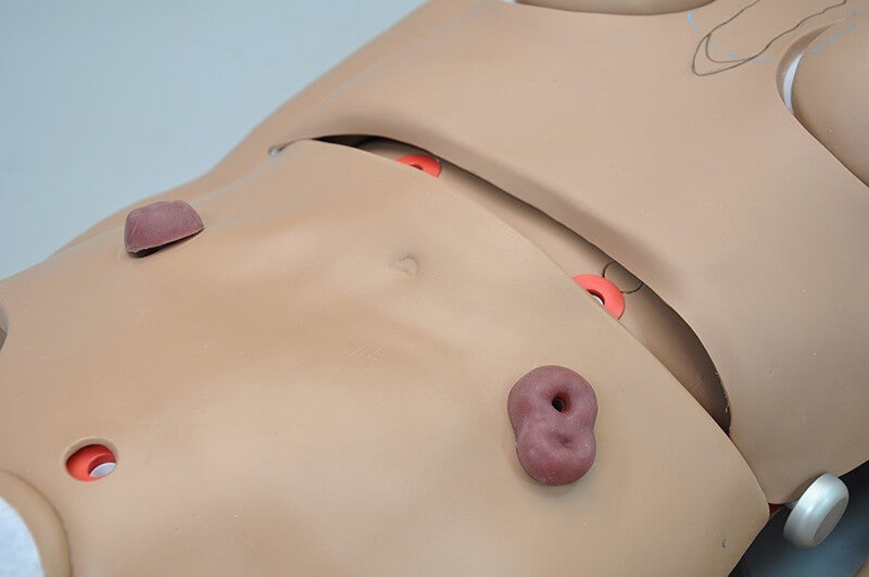 Code Blue Multipurpose Patient Simulator with Intubation Airway