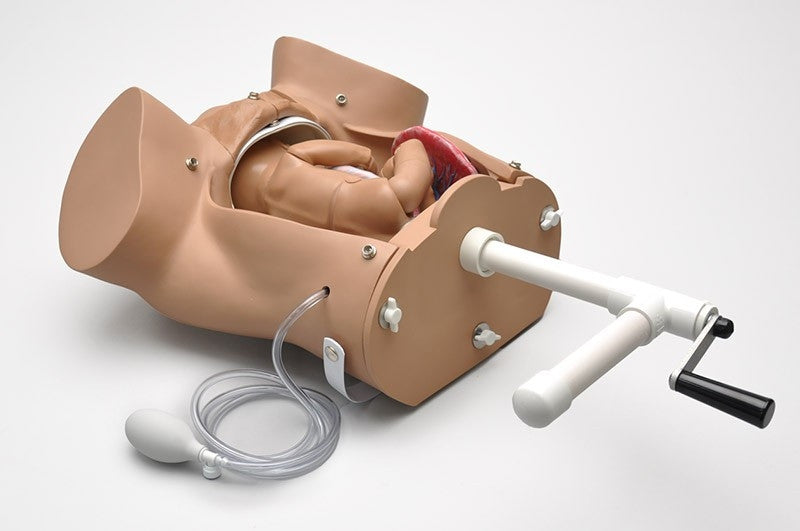 Obstetric SUSIE Childbirth Skills Trainer Torso