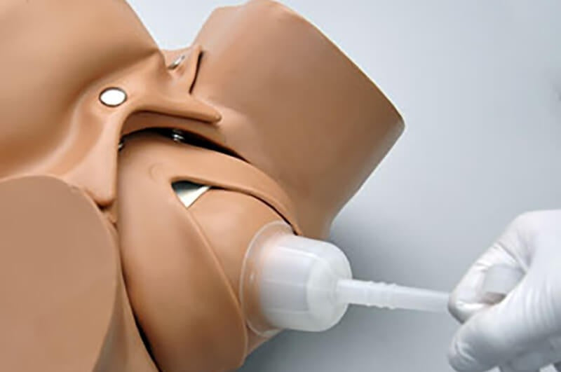 Obstetric SUSIE Childbirth Skills Trainer Torso