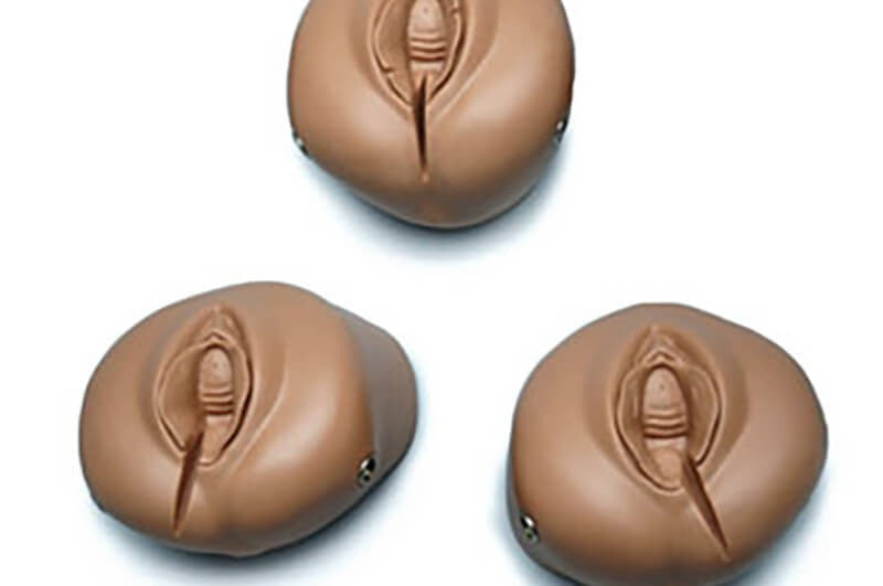 Obstetric SUSIE Childbirth Skills Trainer Torso