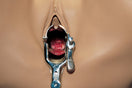 Switch Speculum Examination Trainer 2 image
