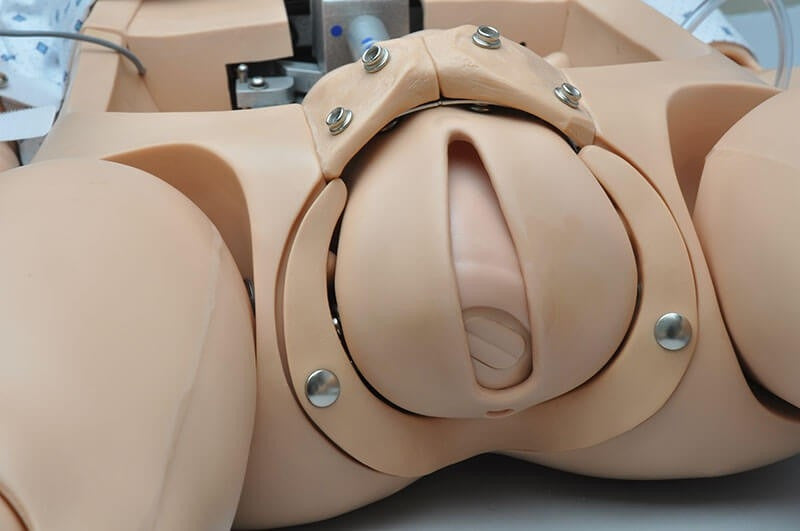 NOELLE Neonate Patient Skills Trainer Package with OMNI and Resuscitation