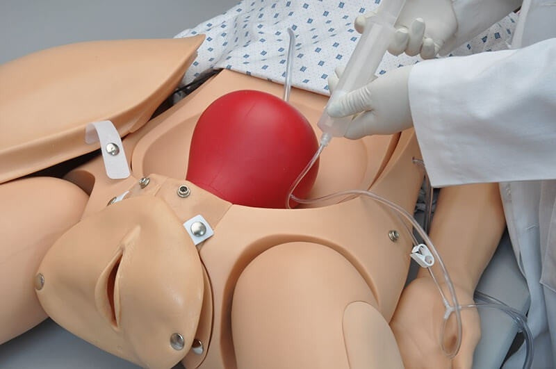 NOELLE Neonate Patient Skills Trainer Package with OMNI and Resuscitation