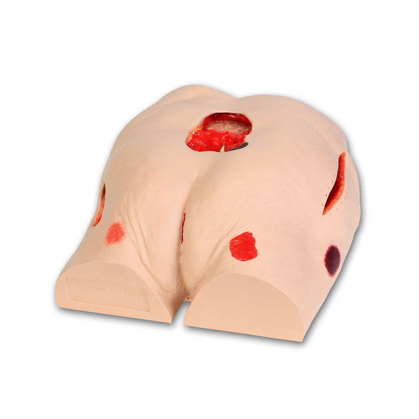 Seymour II™ Wound Care Simulator 0910