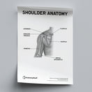 Switch Shoulder Anatomy Poster PDF 2 image