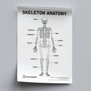 Switch Skeleton Anatomy Poster PDF 2 image