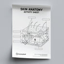 Switch Skin Anatomy Activity Sheet PDF 2 image