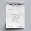 Switch Skull Anatomy Activity Sheet PDF 2 image