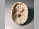 Switch Adult Skull for X-Ray CT, US, MRI SL-A01 Image 3 3 image