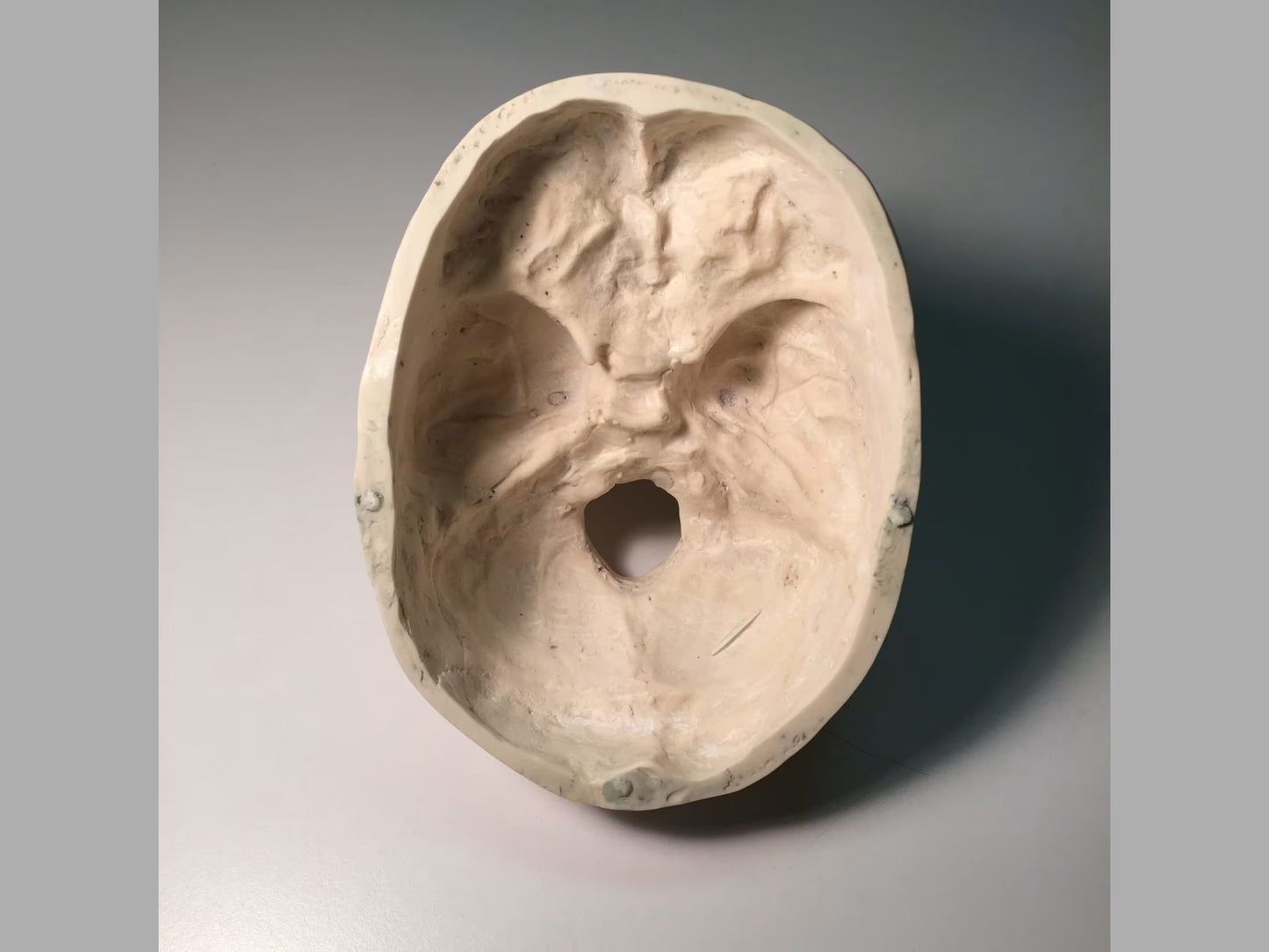 Adult Skull for X-Ray CT, US, MRI SL-A01 Image 3