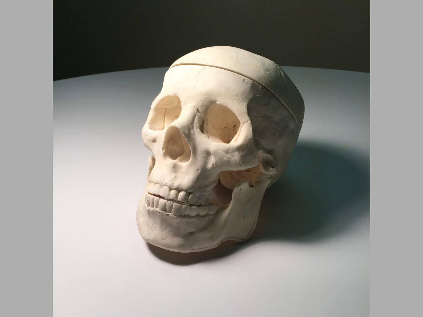 Adult Skull for X-Ray CT, US, MRI SL-A01 Image 2
