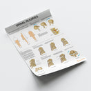 Switch Spinal Injuries Chart / Poster 3 image