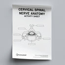 Switch Spinal Nerve Anatomy Activity Sheet PDF 2 image