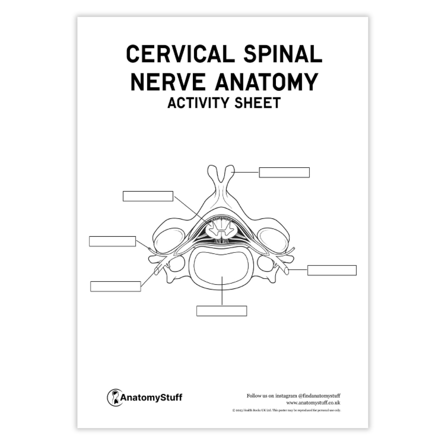 Spinal Nerve Anatomy Activity Sheet PDF