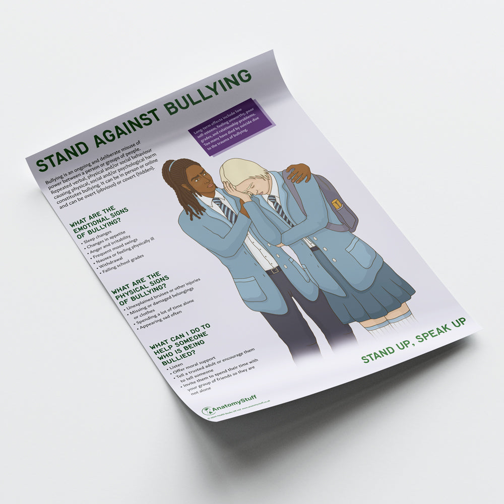 Stand Against Bullying Chart / Poster - Part of Collection