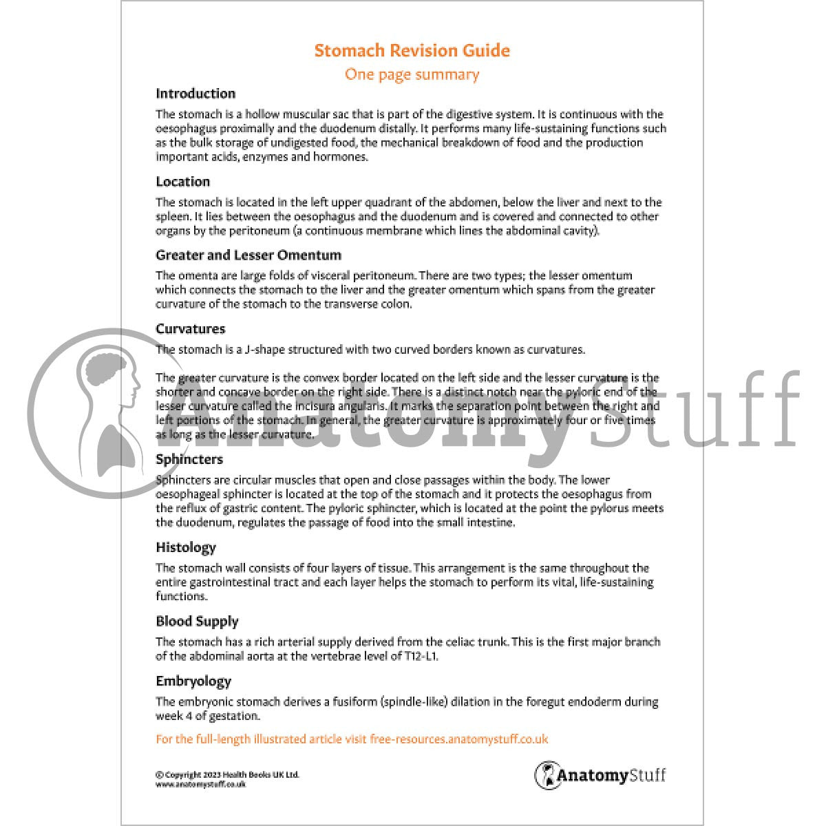 Stomach Revision Guide (One Page Summary)