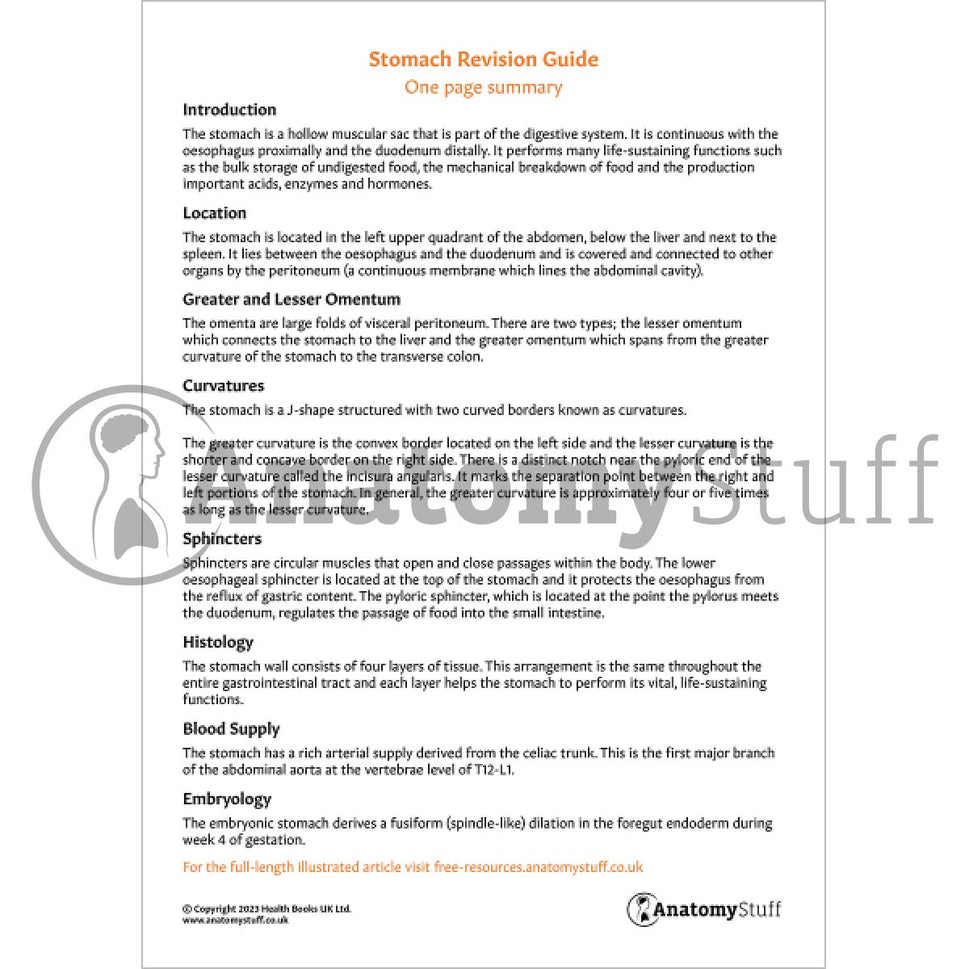 Stomach Revision Guide (One Page Summary)