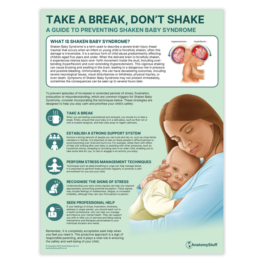 Take a Break, Don't Shake (Shaken Baby Syndrome) Chart / Poster