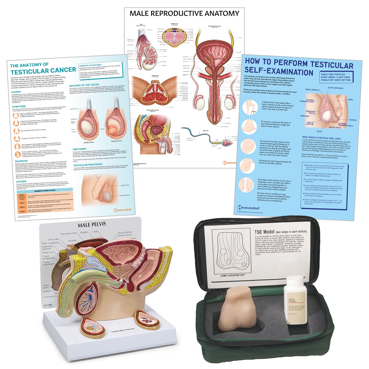 Testicular Cancer Education Collection