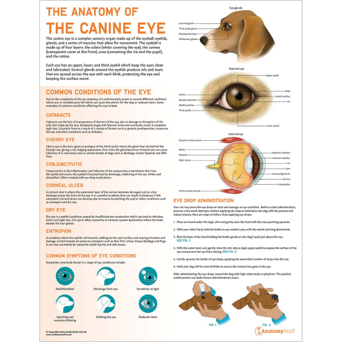 Complete Canine Anatomy & Pathology Collection