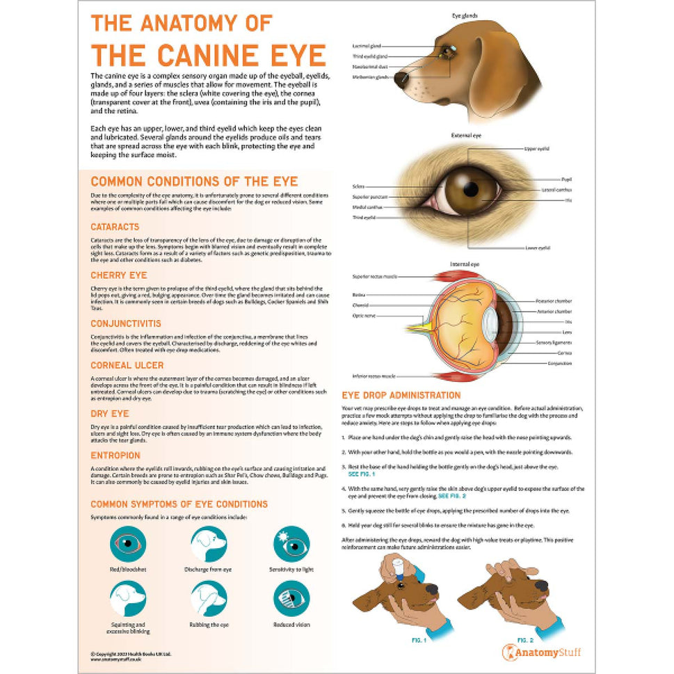 Complete Canine Anatomy & Pathology Collection