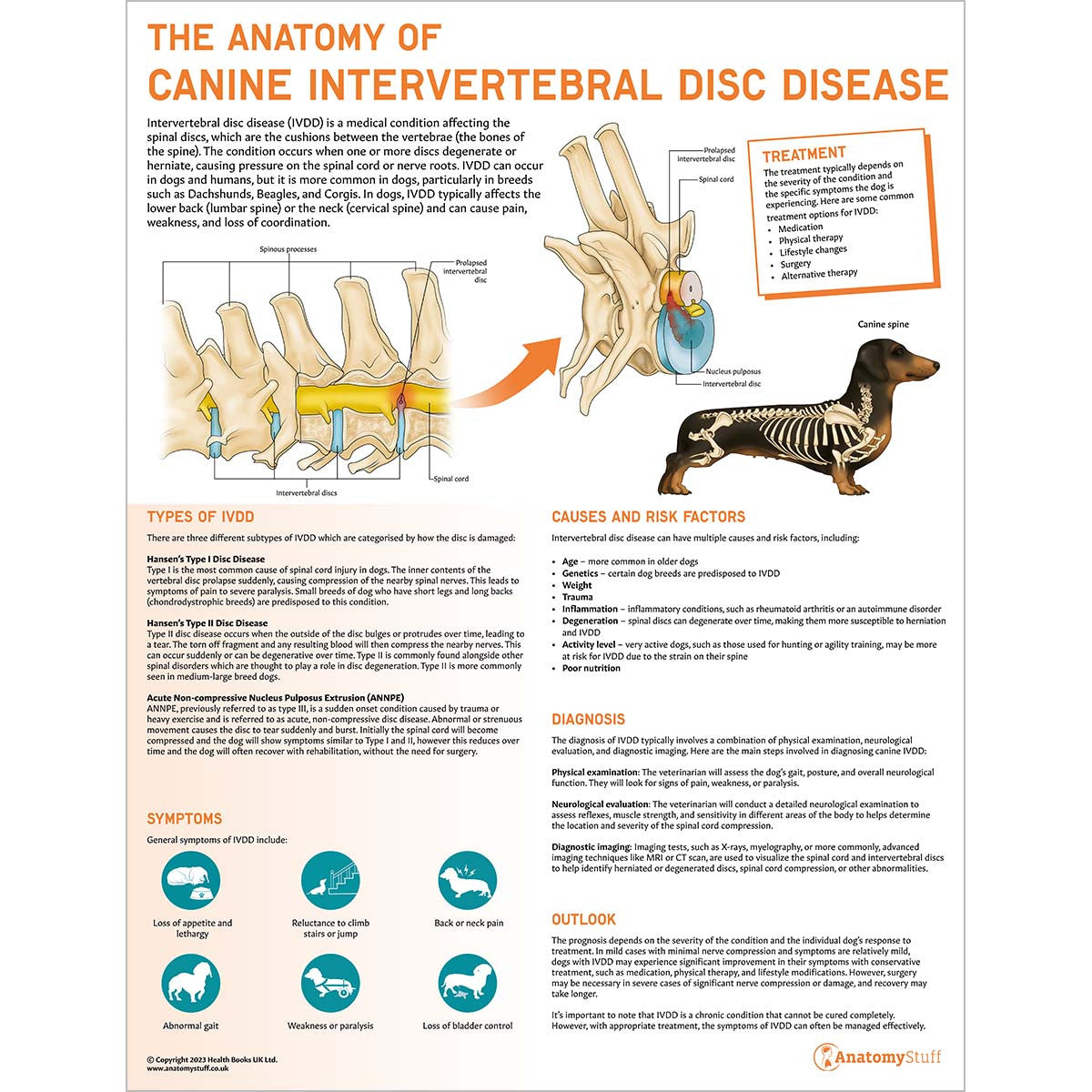 Complete Canine Anatomy & Pathology Collection