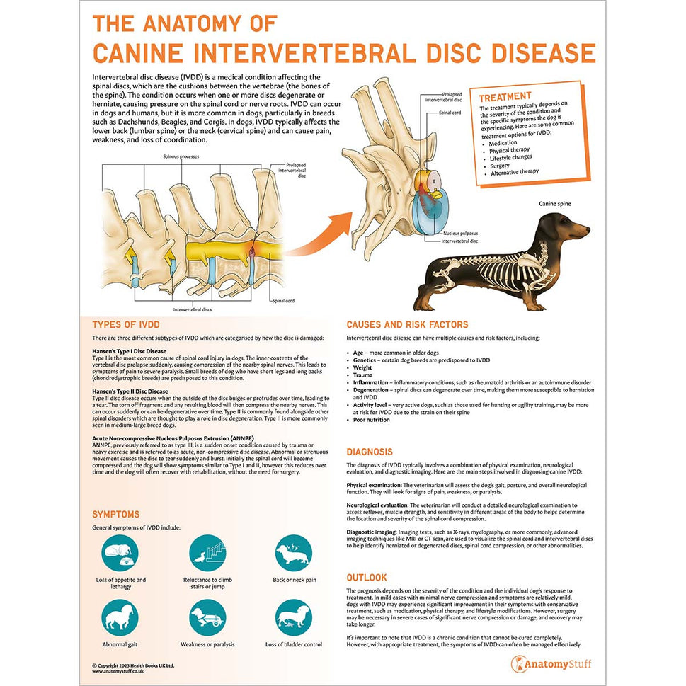 Complete Canine Anatomy & Pathology Collection