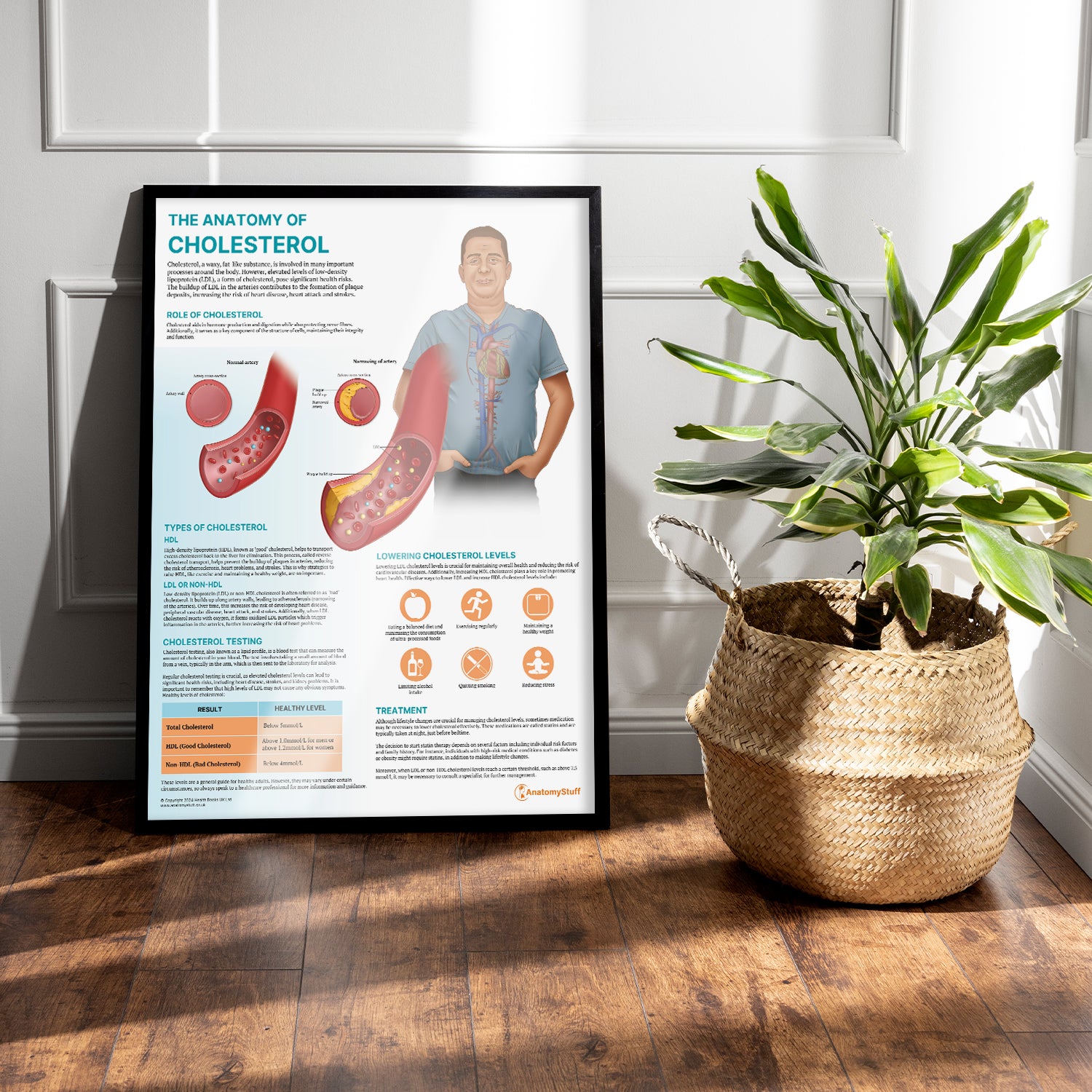 The Anatomy of Cholesterol Chart / Poster
