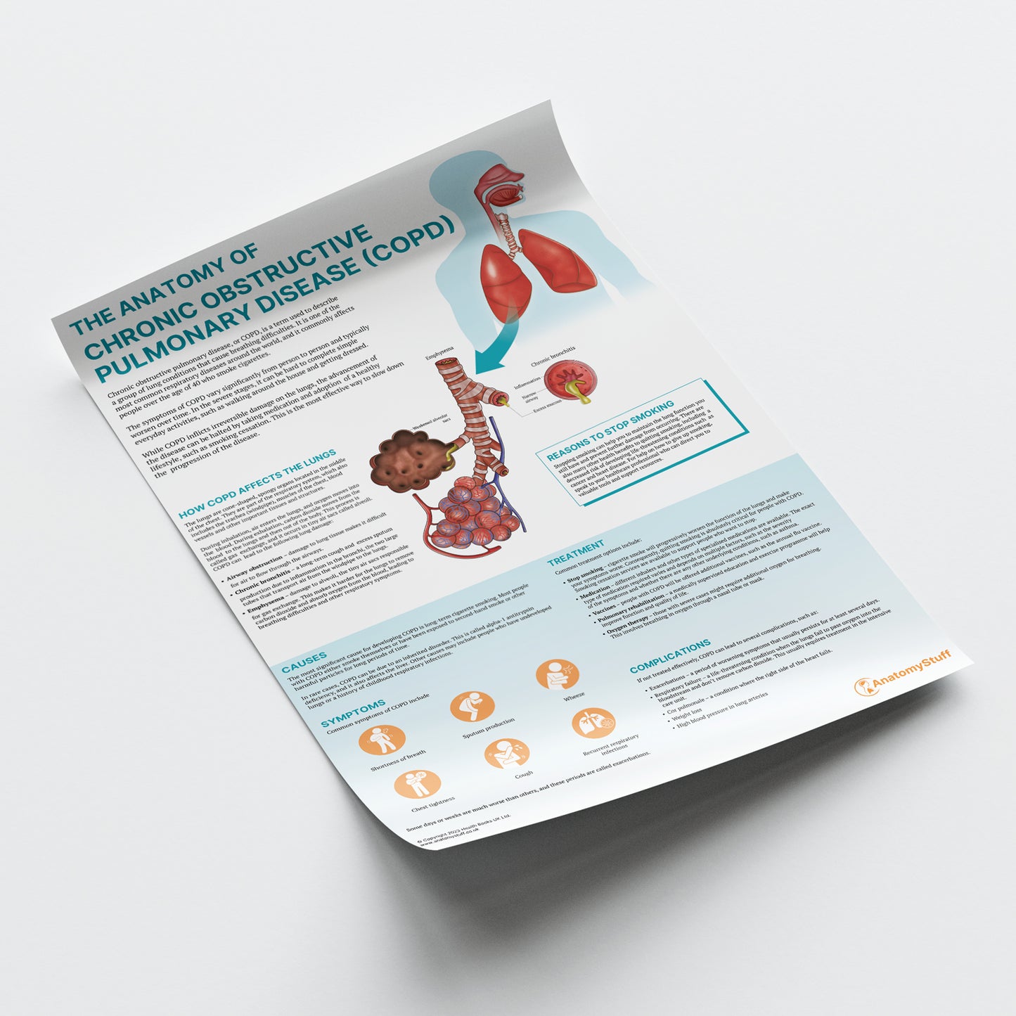 The Anatomy of COPD Chart / Poster