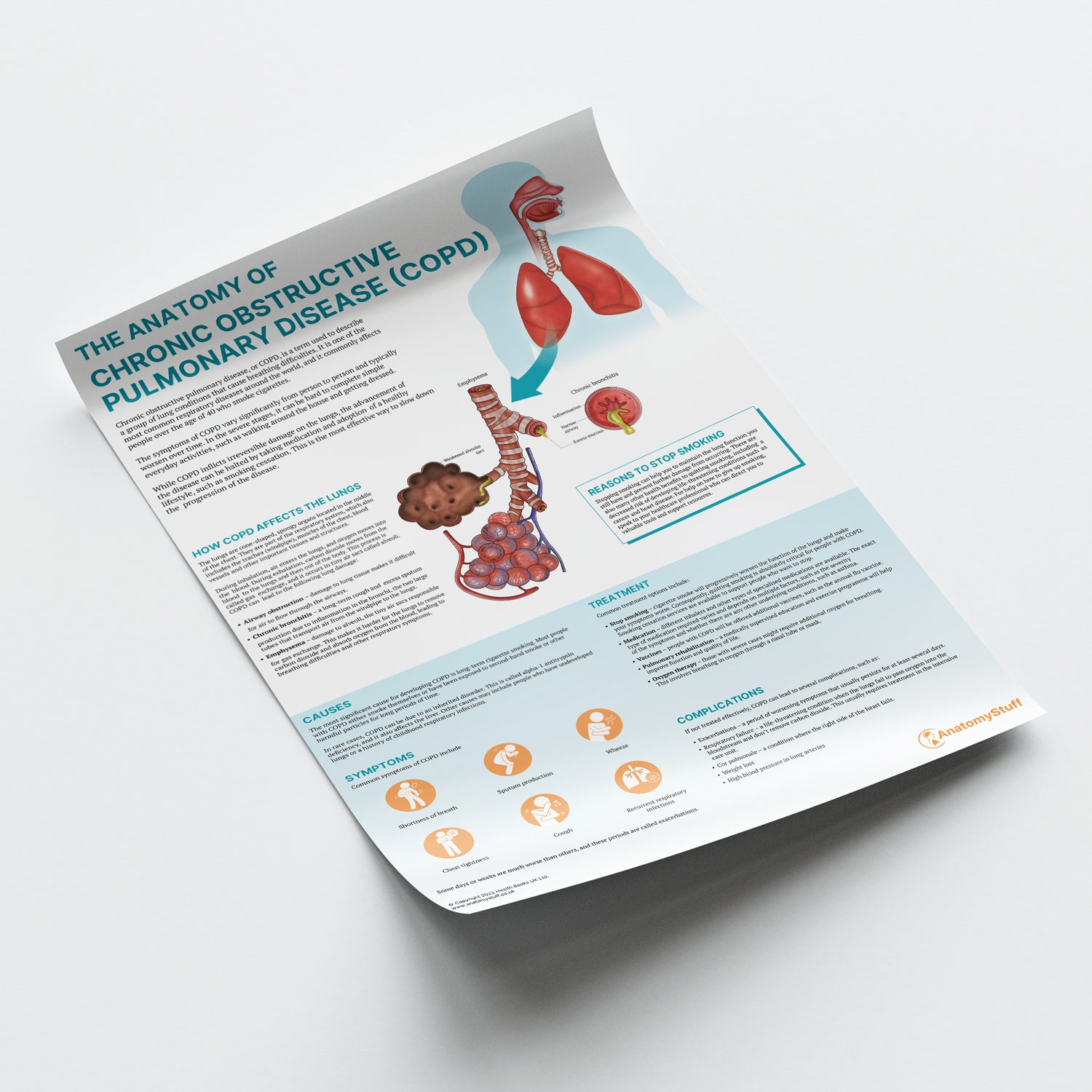 The Anatomy of COPD Chart / Poster