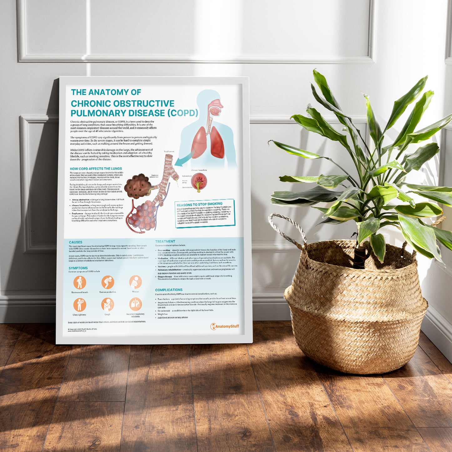 The Anatomy of COPD Chart / Poster