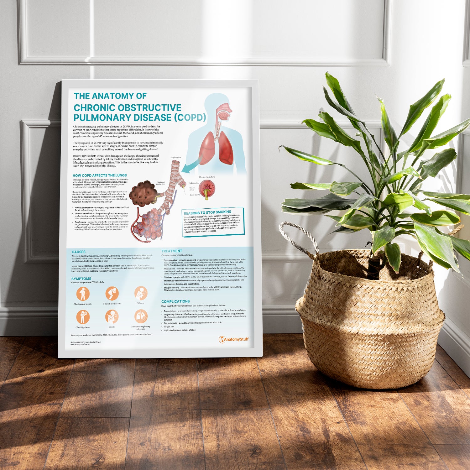 The Anatomy of COPD Chart / Poster