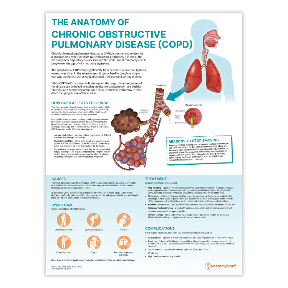 The Anatomy of COPD Chart / Poster