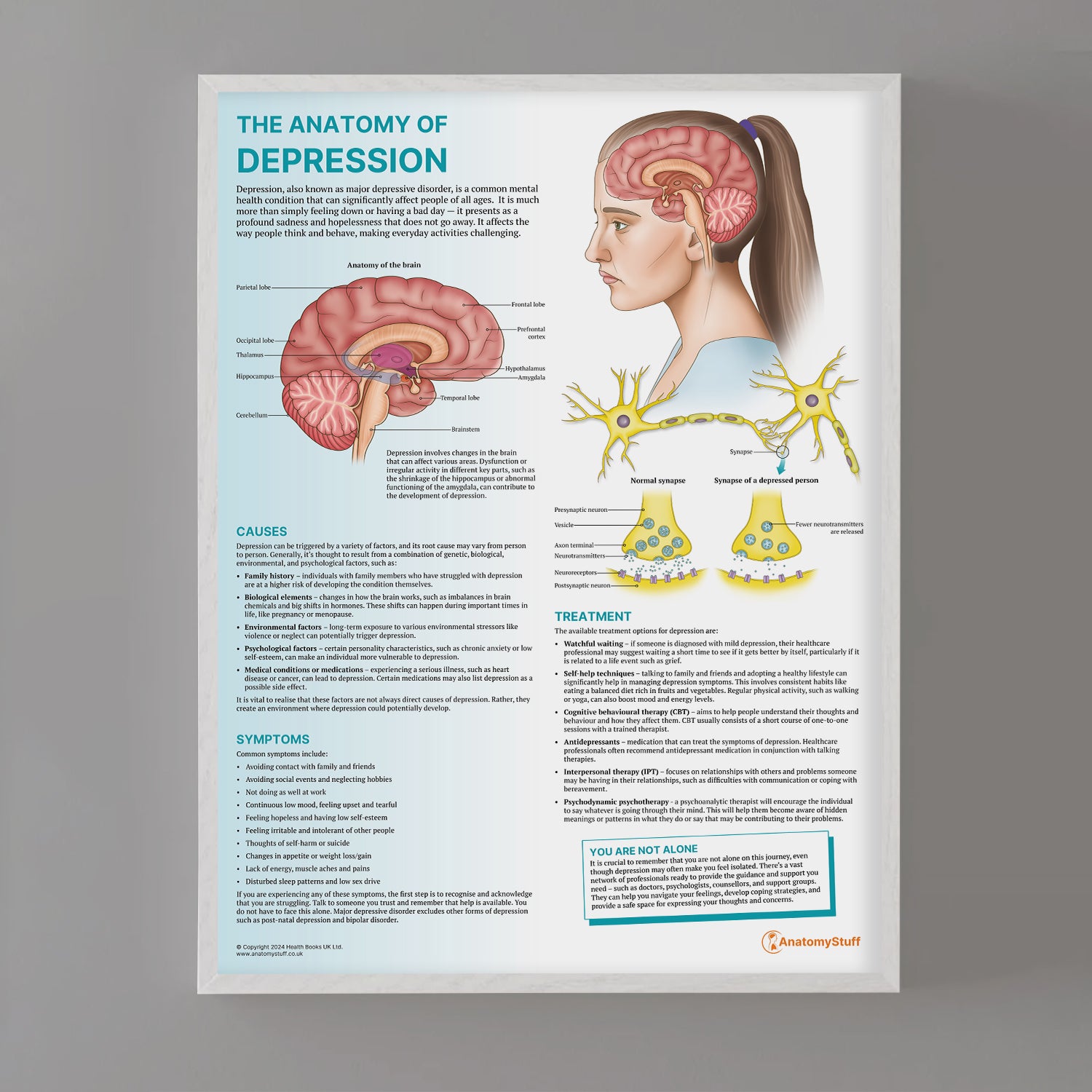 The Anatomy of Depression Chart / Poster - | AnatomyStuff